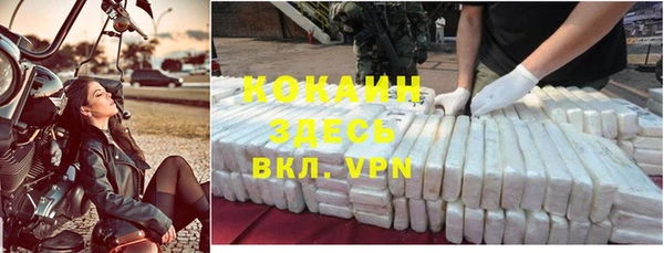 сатива Шилка